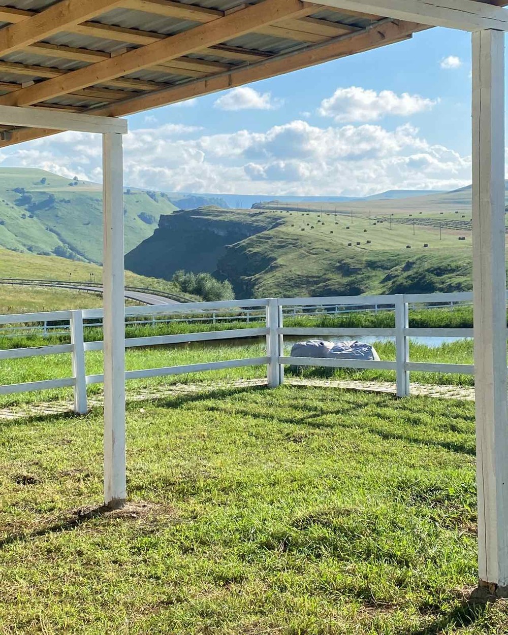Альпака-парк и Медовые водопады: уютная поездка на полдня — фото 4