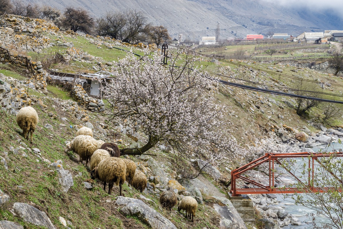 В Кабардино-Балкарию из Кисловодска — в мини-группе — фото 10