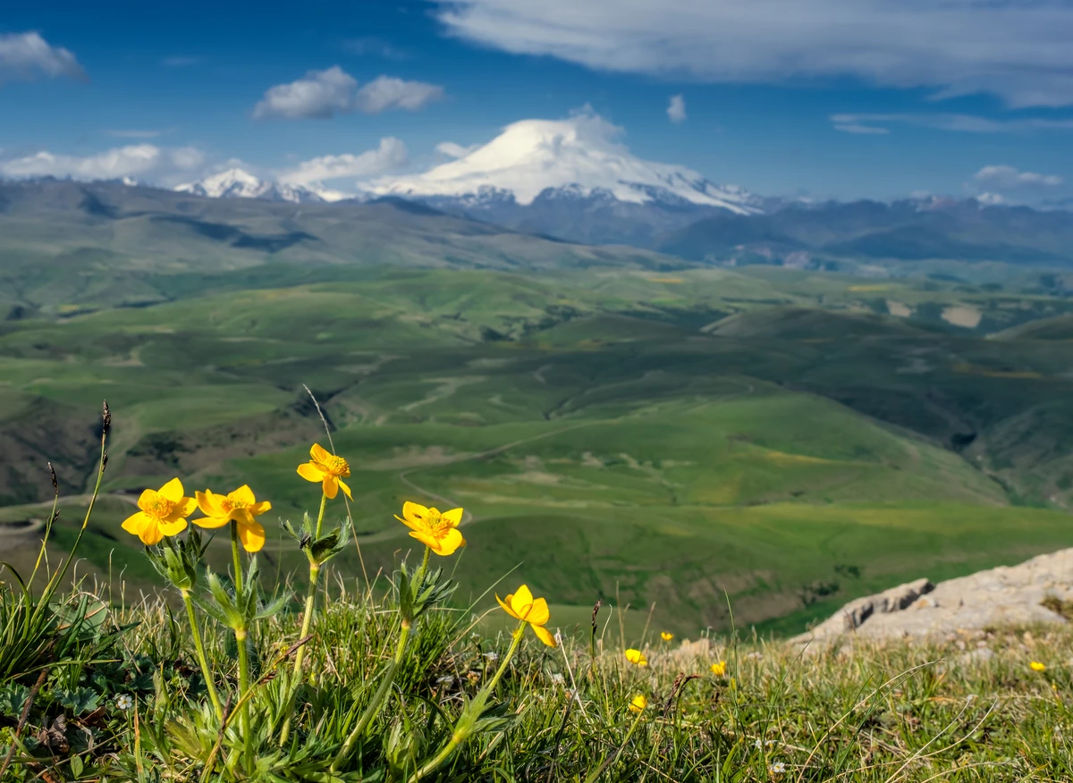 Плато Бермамыт днём или на закате из Кисловодска — фото 7