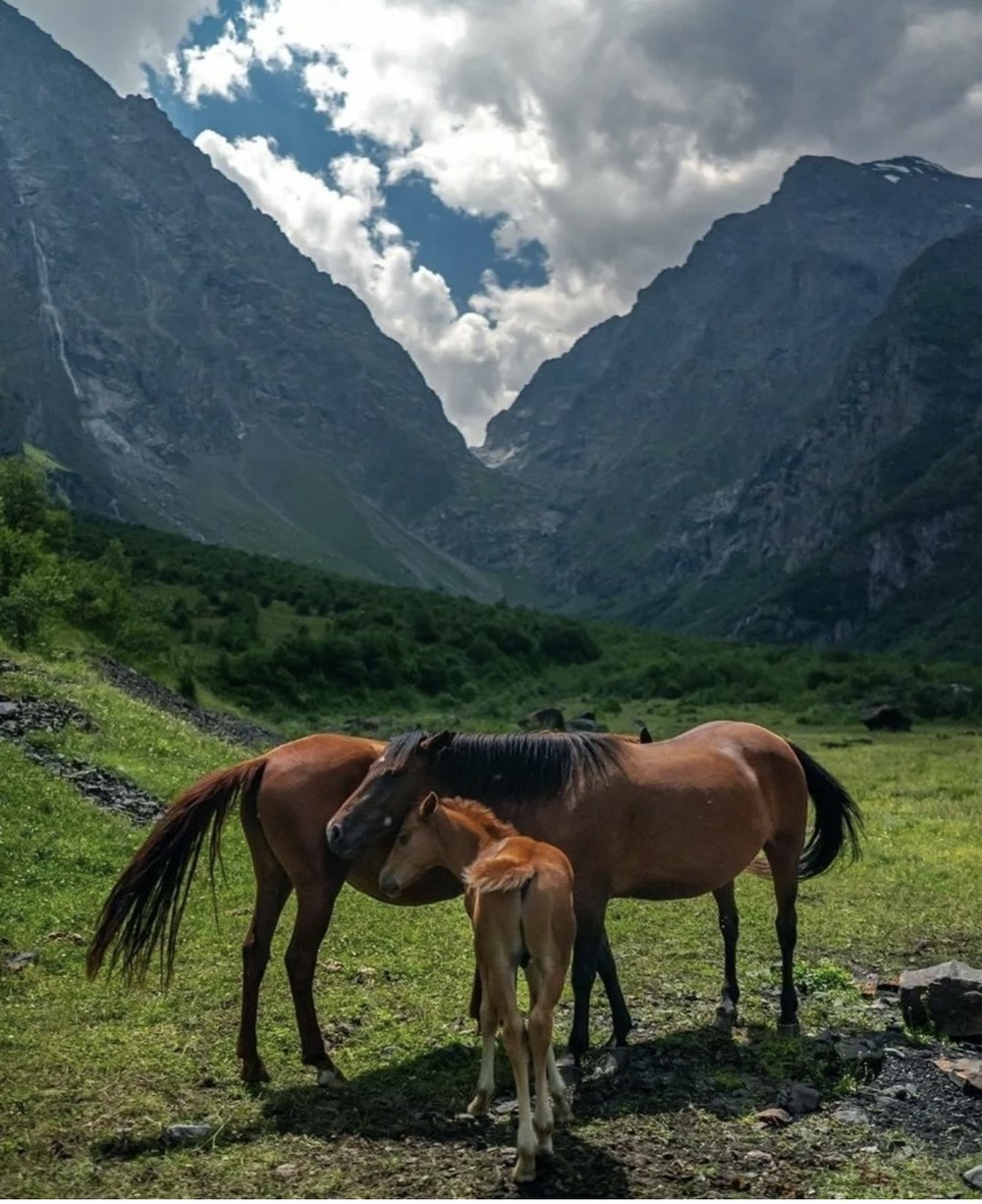 Это Осетия! Путешествие в мини-группе из Кисловодска — фото 5