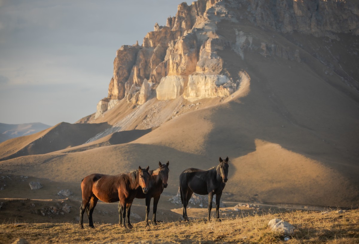 К лучшим панорамам Кавказа — из Кисловодска — фото 4