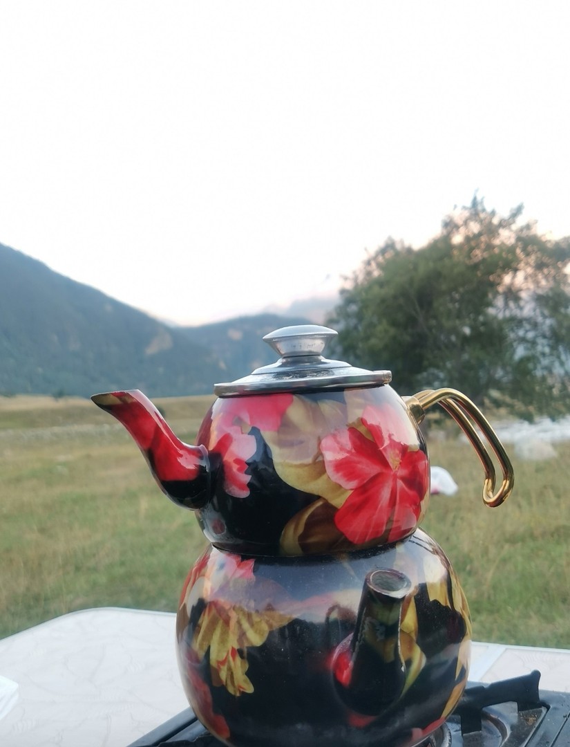 Пикник по-кавказcки с видом на Эльбрус — фото 7