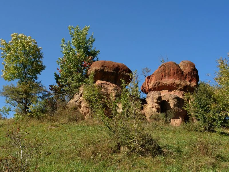 Неизведанные уголки Кисловодского парка — фото 5