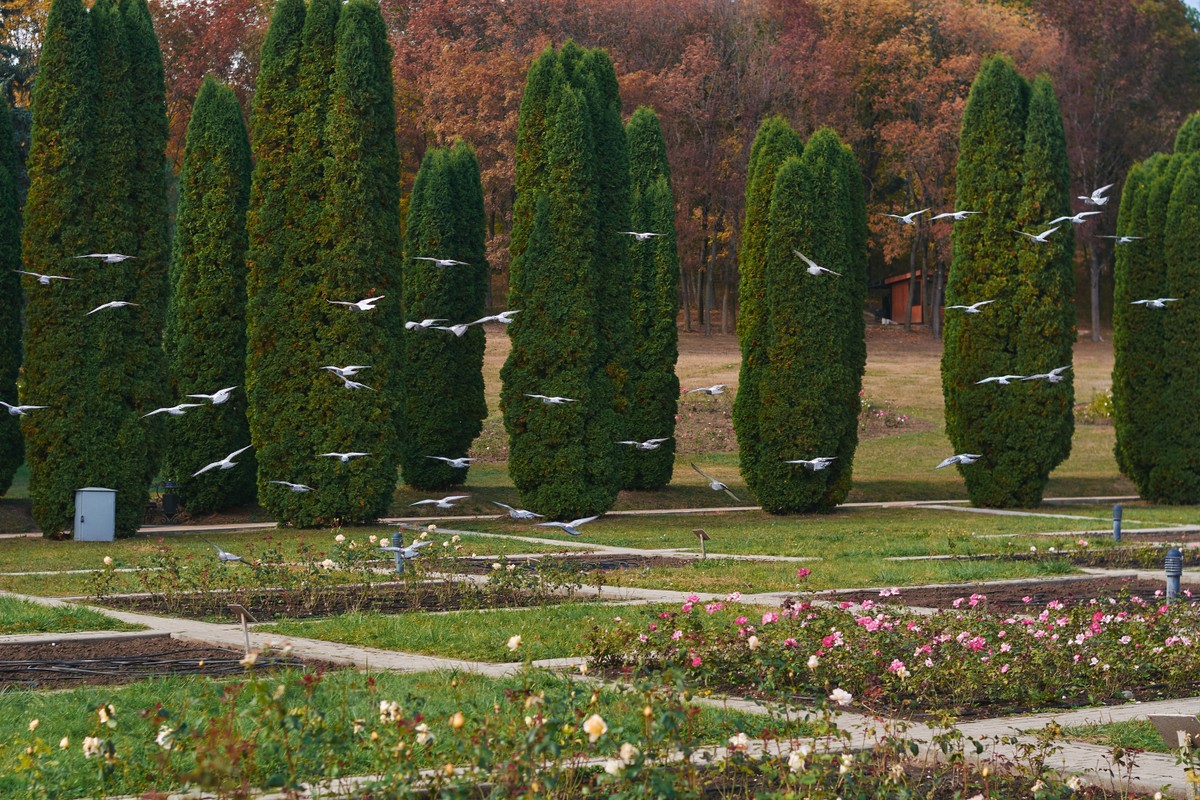 Кисловодск — город, который вас обманул — фото 7