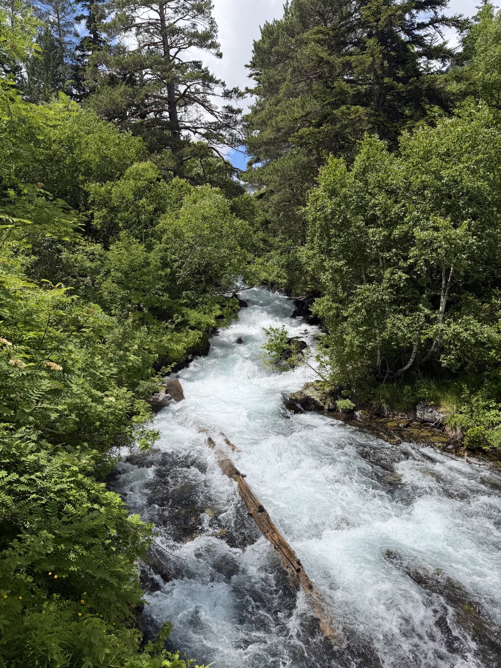 Заповедный Домбай: путешествие к Бадукским озерам — фото 11