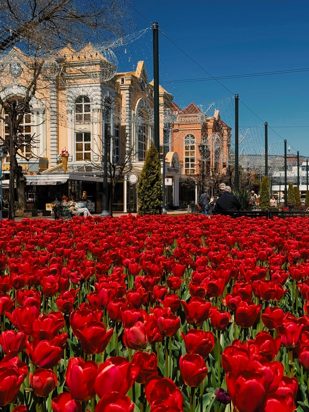 Добро пожаловать в Кисловодск! — фото 4