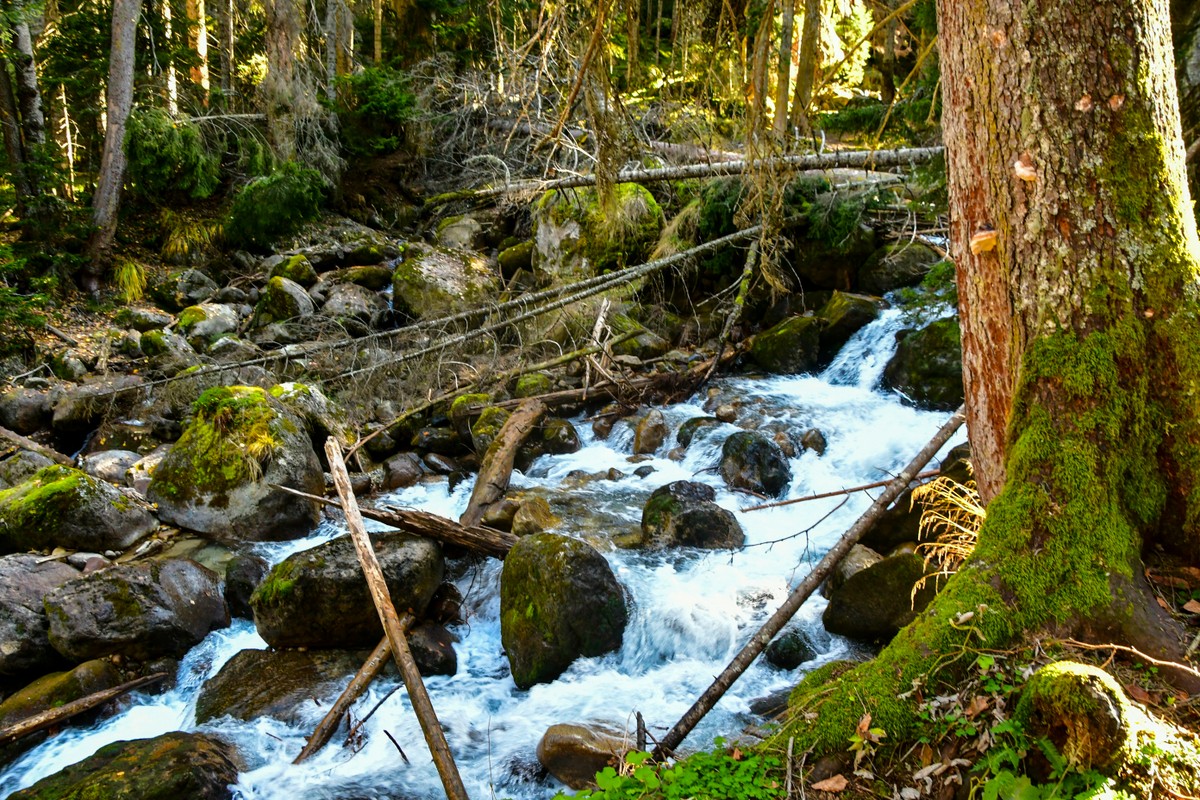 Из Кисловодска — к кристальным Бадукским озёрам — фото 8